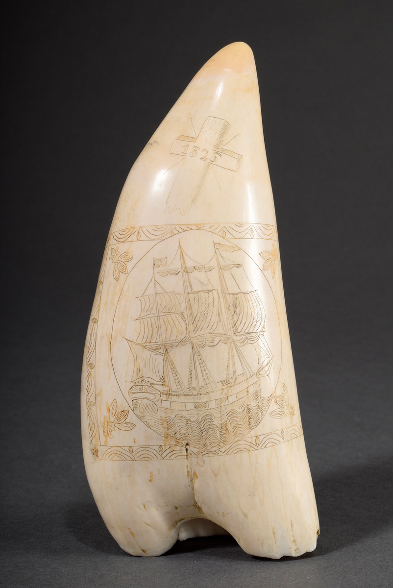 Scrimshaw "3-Mast Ship 1825", whale tooth with colored incised decoration "3-Mast ship in decorativ
