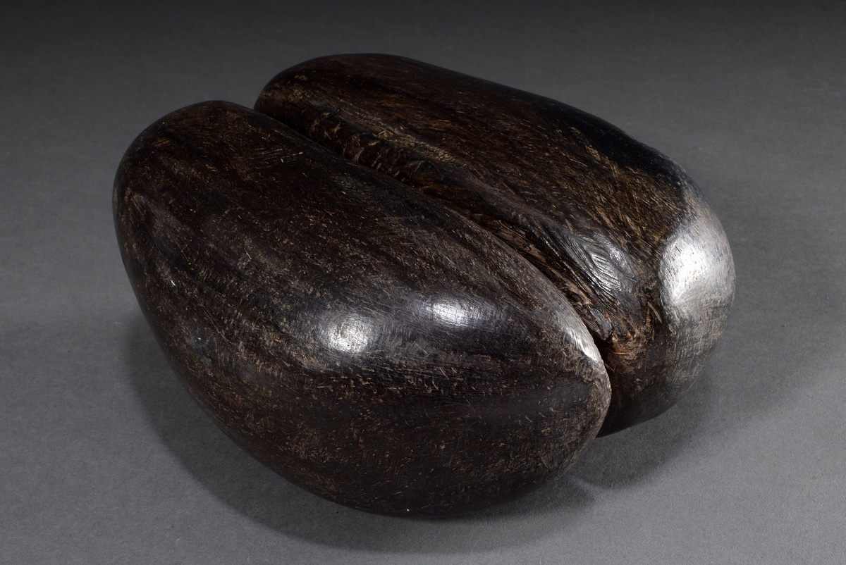 Sailor souvenir around 1900: Seychelles nut or Coco de Mer (Lodoicea maldivica), surface processed, - Image 3 of 3