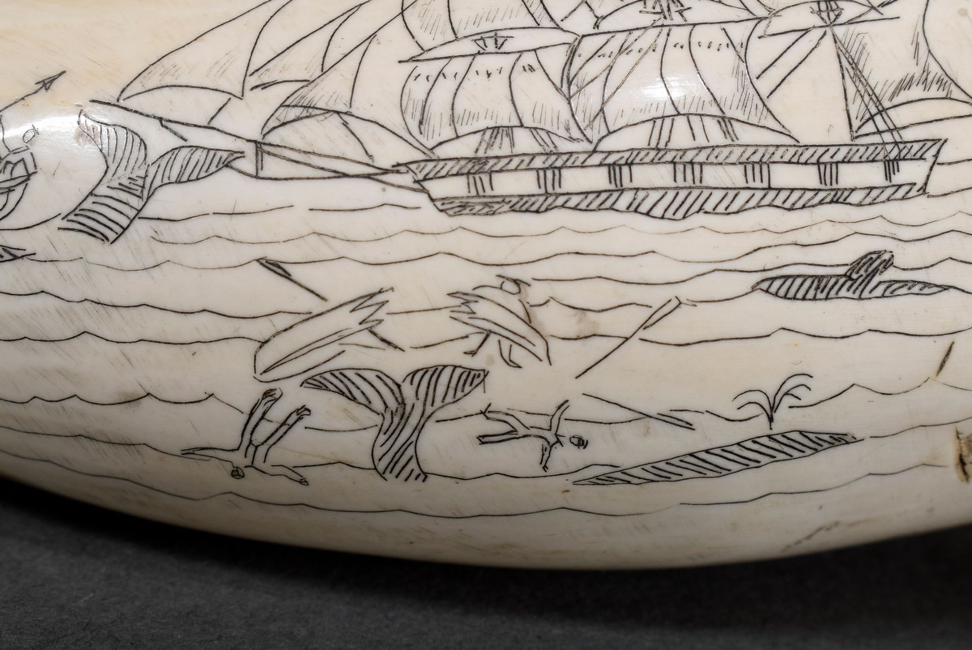 Scrimshaw „E Pluribus Unum“, Walzahn mit geschwärztem und rotgefärbtem Ritzdekor „Adler, Spruchband - Bild 4 aus 5