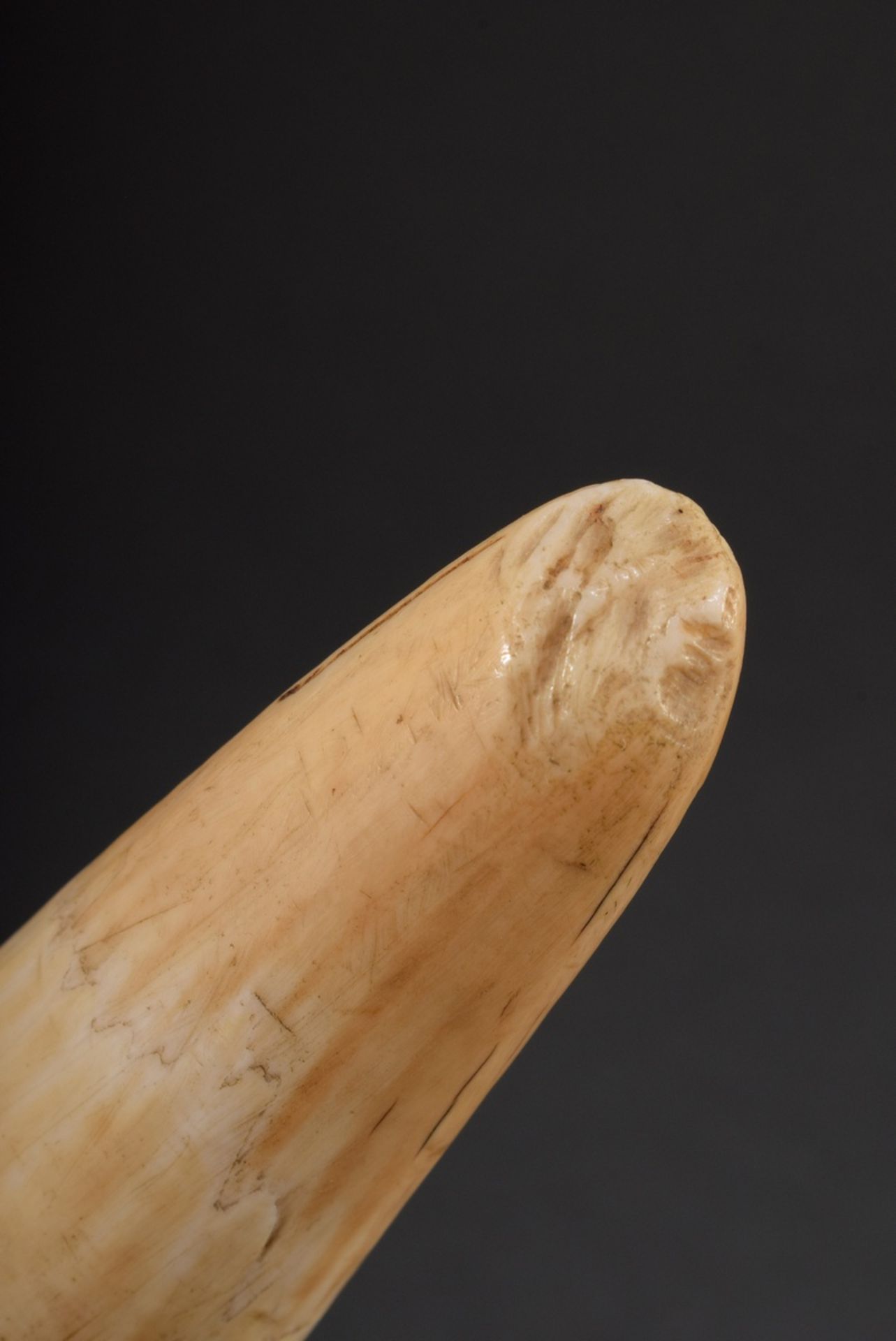 Scrimshaw „W.Linau Whaler Grampus“, Walzahn mit geschwärztem Ritzdekor, „Wal, Walrösser und Waljagd - Bild 6 aus 6