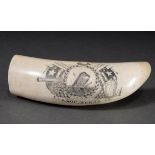 Scrimshaw „Ship Nero“, Walzahn mit geschwärztem Ritzdekor „Pottwal umringt von Lorbeerkranz, Walfan