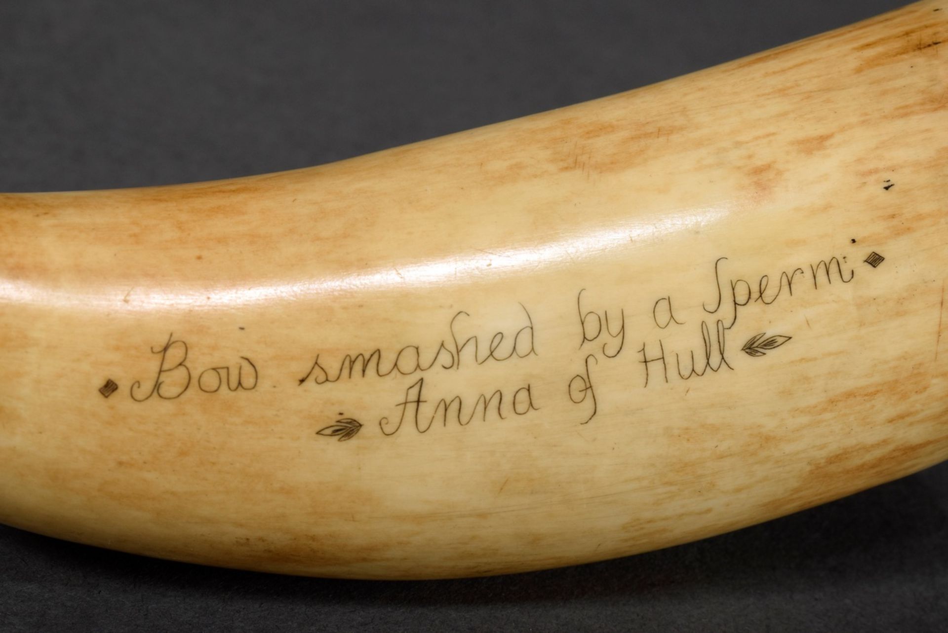 Scrimshaw „Bow smashed by a Sperm/ Anna of Hull”“, Walzahn mit geschwärztem Ritzdekor mit Walfangsz - Bild 3 aus 4