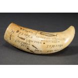 Scrimshaw „Hawk Salem/ Azorean Whaling Grounds“, Walzahn mit geschwärztem Ritzdekor „Azoreninseln u