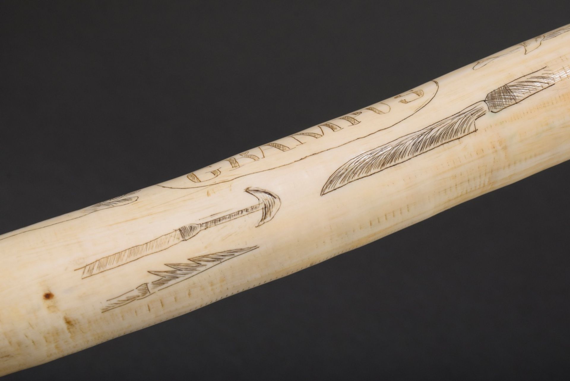 Scrimshaw „W.Linau Whaler Grampus“, Walzahn mit geschwärztem Ritzdekor, „Wal, Walrösser und Waljagd - Bild 4 aus 6