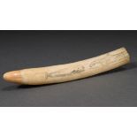 Scrimshaw „Wale“, Walrosszahn mit geschwärztem Ritzdekor „Verschiedene Walarten“, 24,5cm, 223g