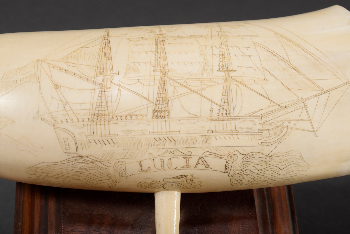 2 Scrimshaws "Lucia", connected and mounted on wooden base, whale tooth with colored incised decora - Image 3 of 6