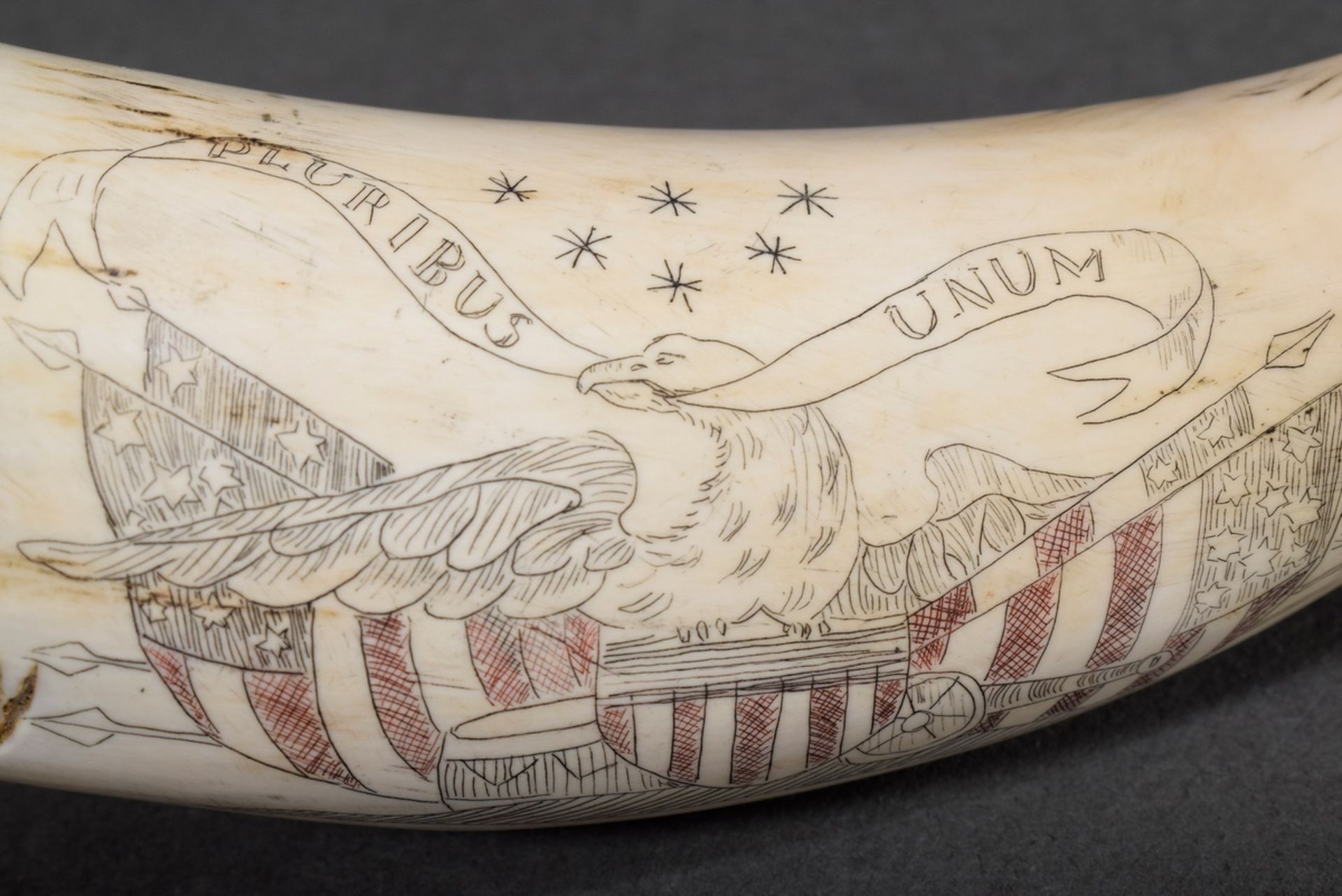 Scrimshaw „E Pluribus Unum“, Walzahn mit geschwärztem und rotgefärbtem Ritzdekor „Adler, Spruchband - Bild 2 aus 5