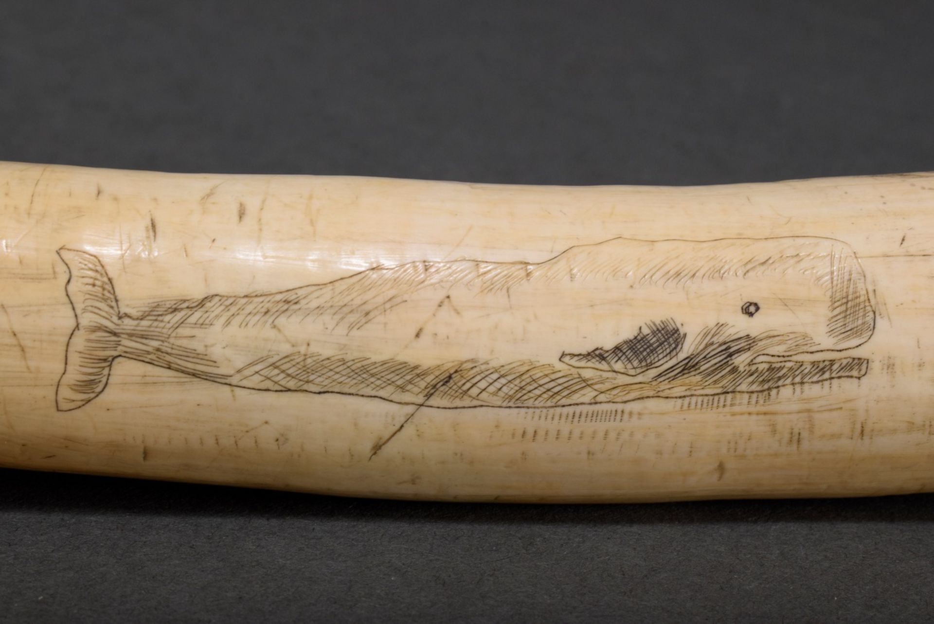 Scrimshaw „Wale“, Walrosszahn mit geschwärztem Ritzdekor „Verschiedene Walarten“, 24,5cm, 223g - Bild 4 aus 7