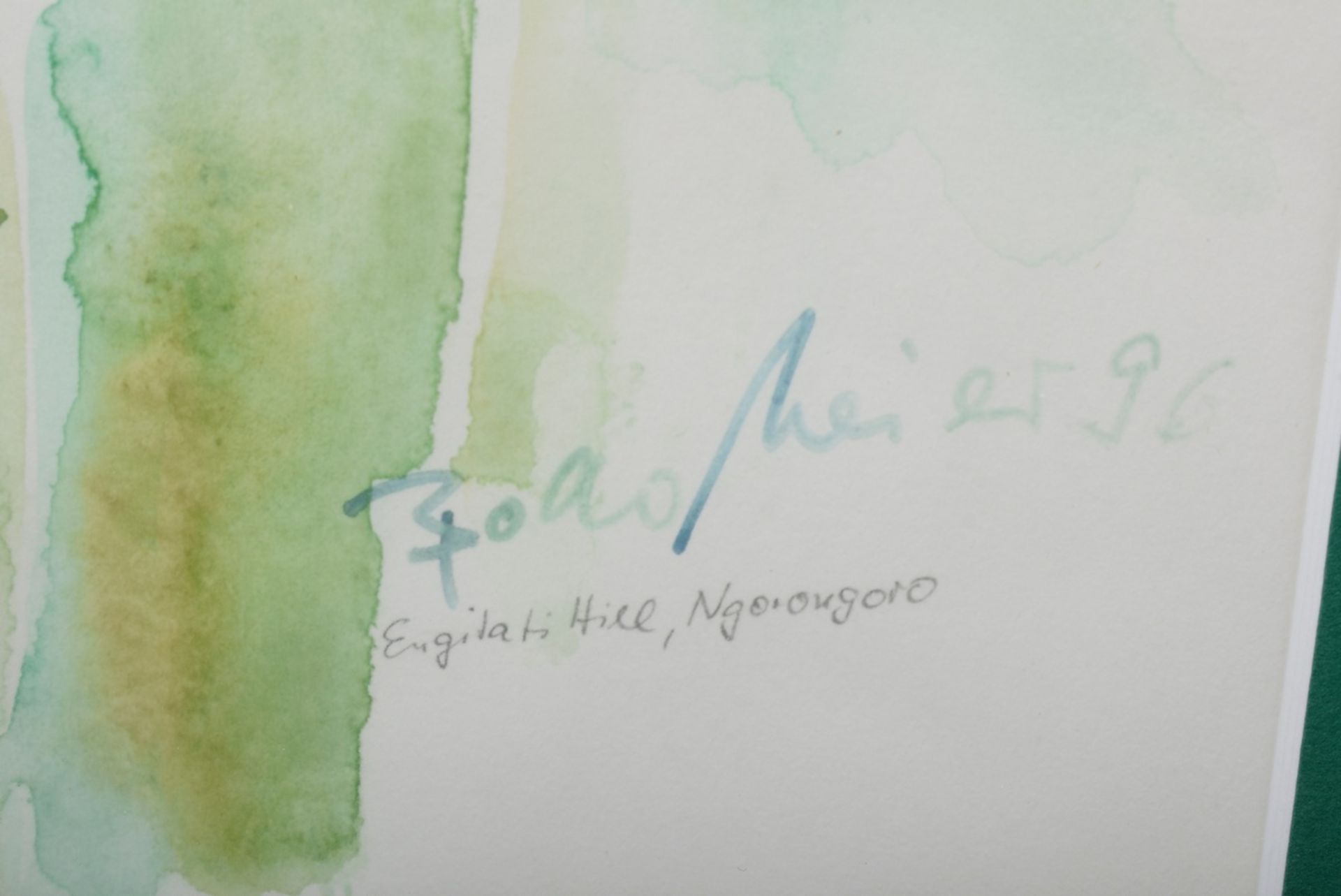 Meier, Bodo (*1949) "Drei Zebras (Engitati Hill, Ngorongoro)" 1996, Bleistift/Aquarell, u.r. sign./ - Bild 2 aus 2