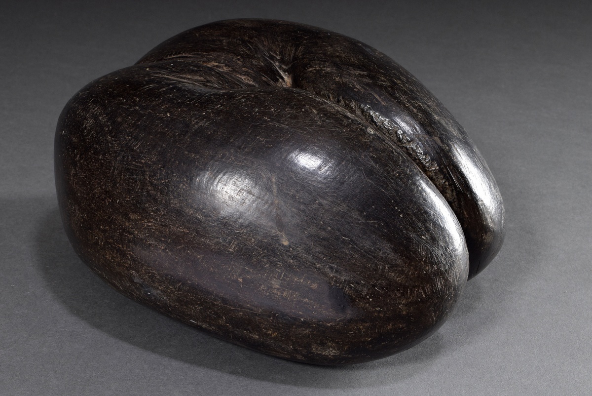 Sailor souvenir around 1900: Seychelles nut or Coco de Mer (Lodoicea maldivica), surface processed,