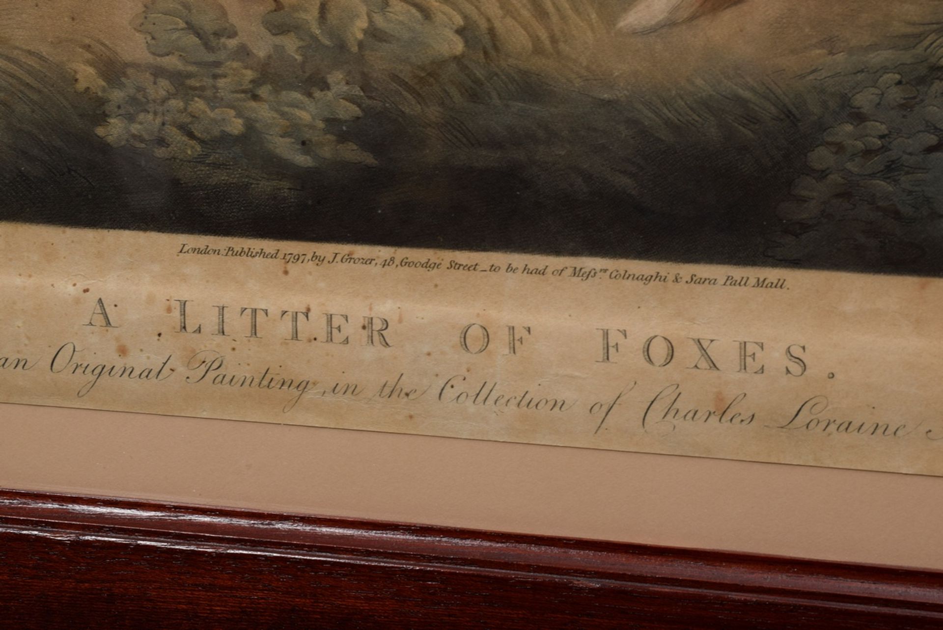 2 Diverse colorierte Radierungen: "A Litter of Foxes", gest. von Joseph Grozer (Ende 18.Jh.) und "P - Bild 7 aus 11