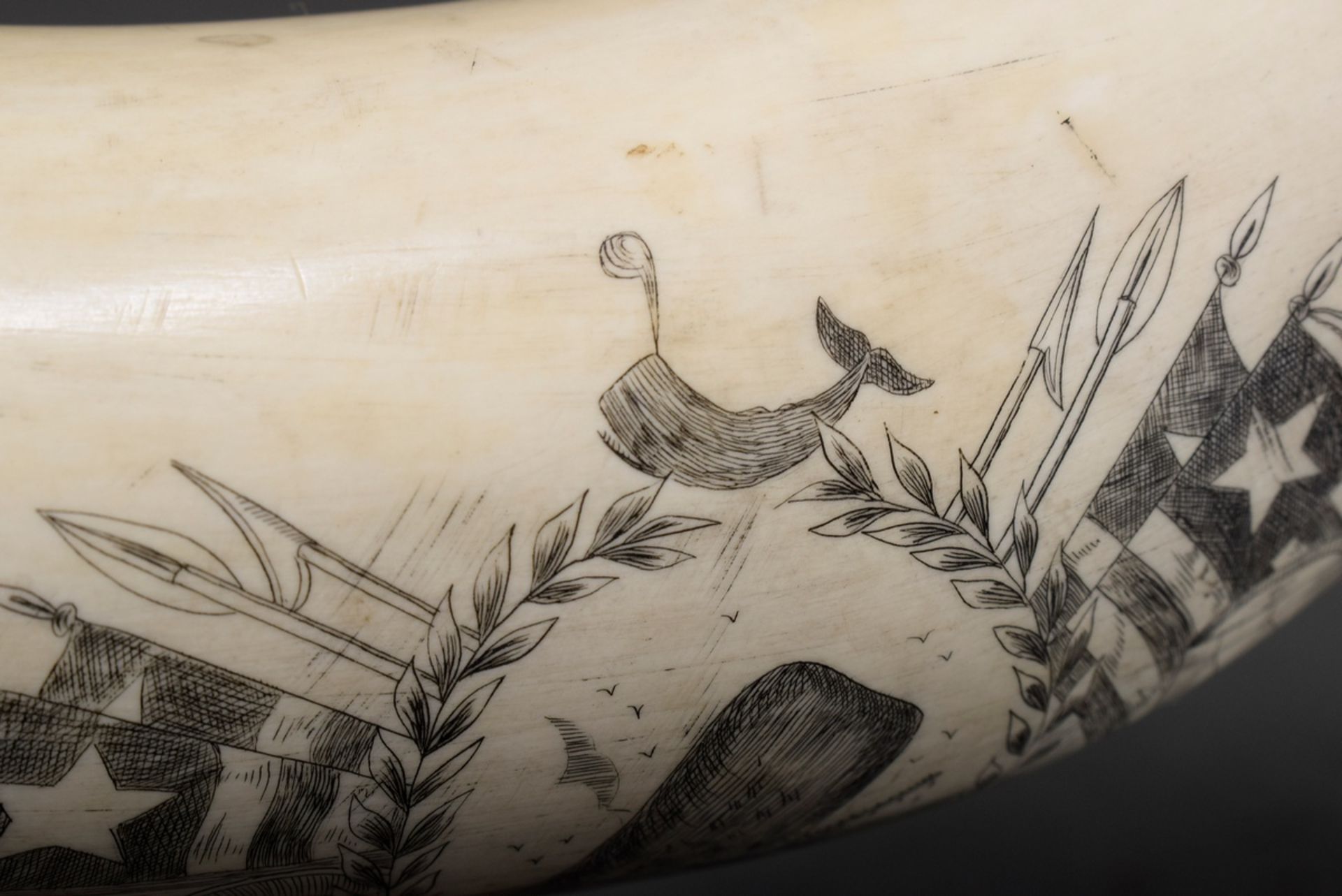 Scrimshaw „Ship Nero“, Walzahn mit geschwärztem Ritzdekor „Pottwal umringt von Lorbeerkranz, Walfan - Bild 5 aus 5