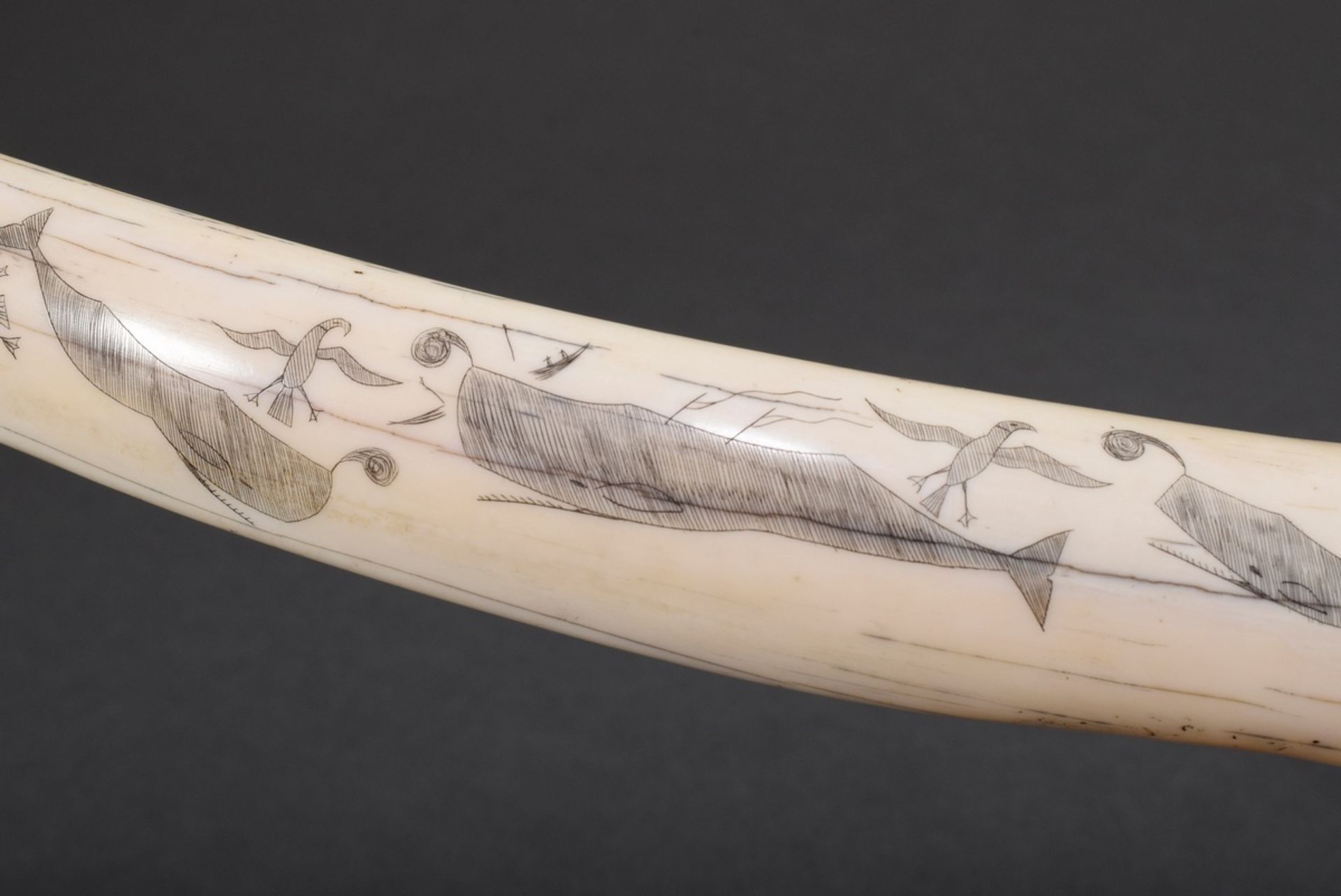 Scrimshaw „Greasy Luck to Whalers“, Walrosszahn mit geschwärztem Ritzdekor „Pottwale und Möwen“, L. - Bild 5 aus 6