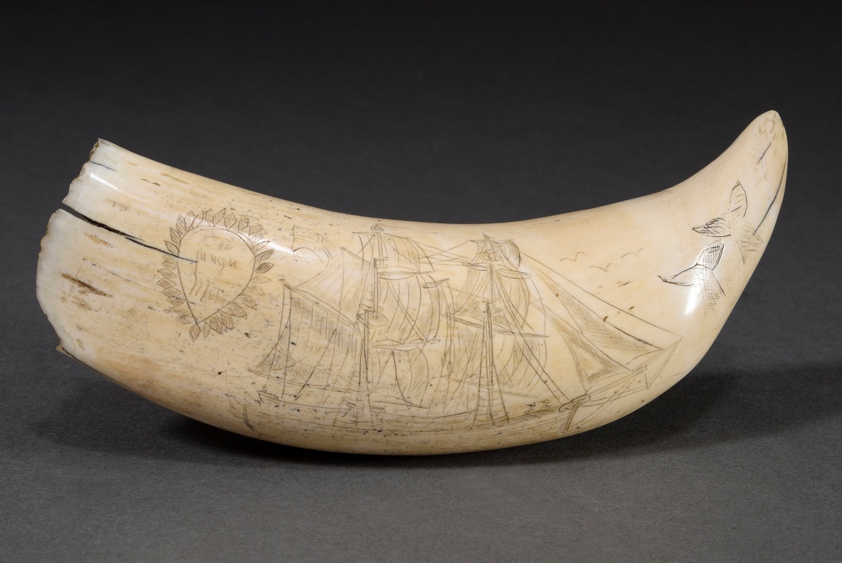 Scrimshaw "The Young Martin", whale tooth with blackened incised decoration "2-Mast ship and whale 