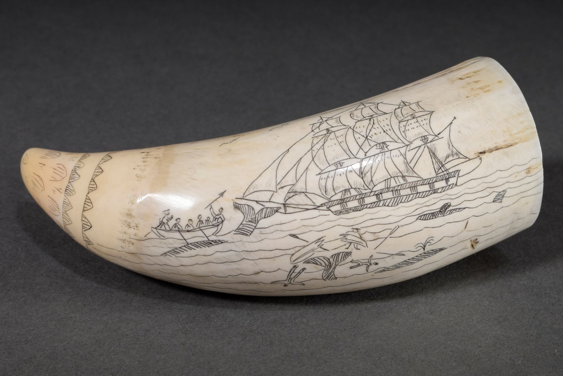 Scrimshaw „E Pluribus Unum“, Walzahn mit geschwärztem und rotgefärbtem Ritzdekor „Adler, Spruchband - Bild 3 aus 5