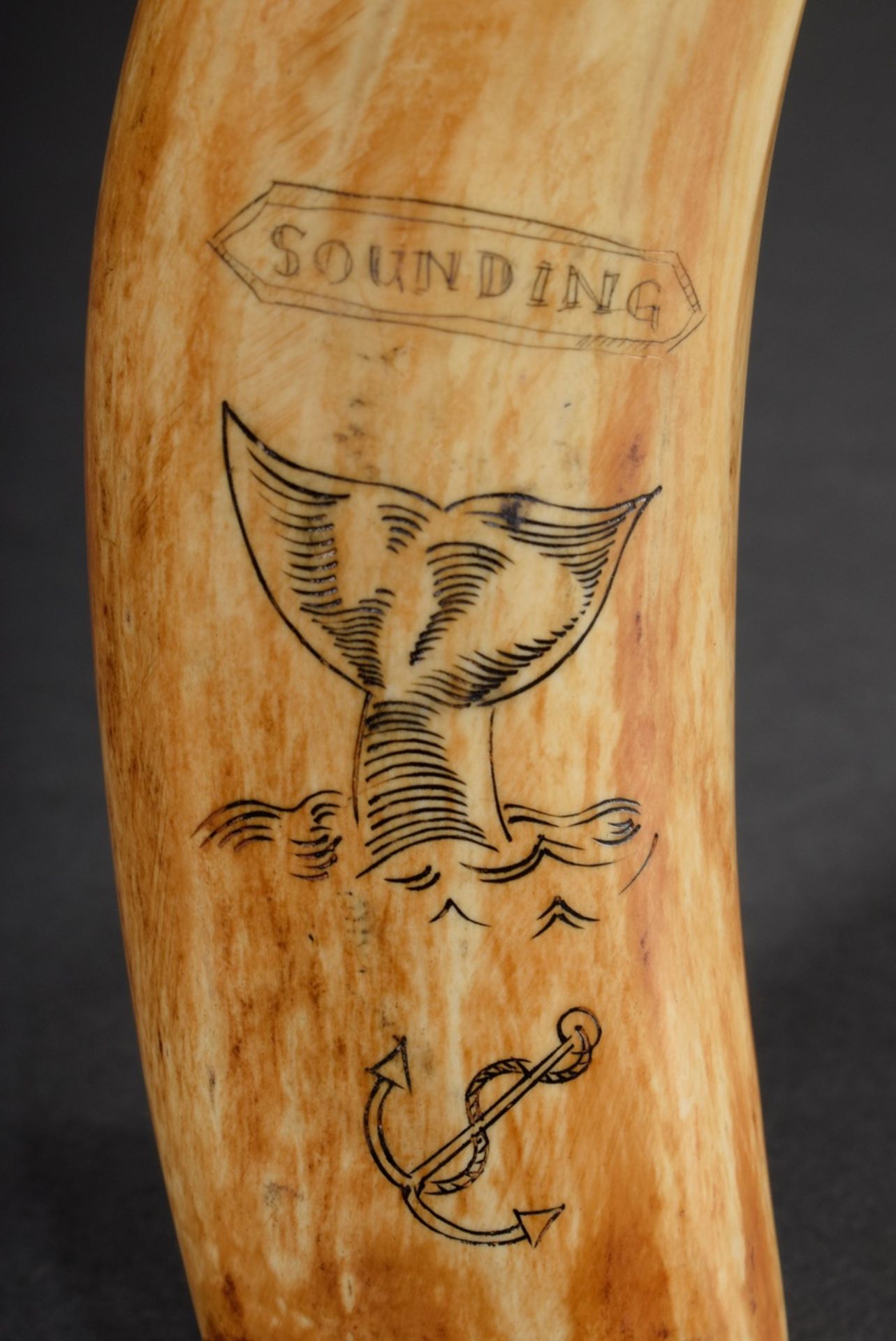 Scrimshaw „Cachalot off Nantucket/ Sounding“, Walzahn mit geschwärztem Ritzdekor „Pottwal und Anker - Bild 5 aus 5