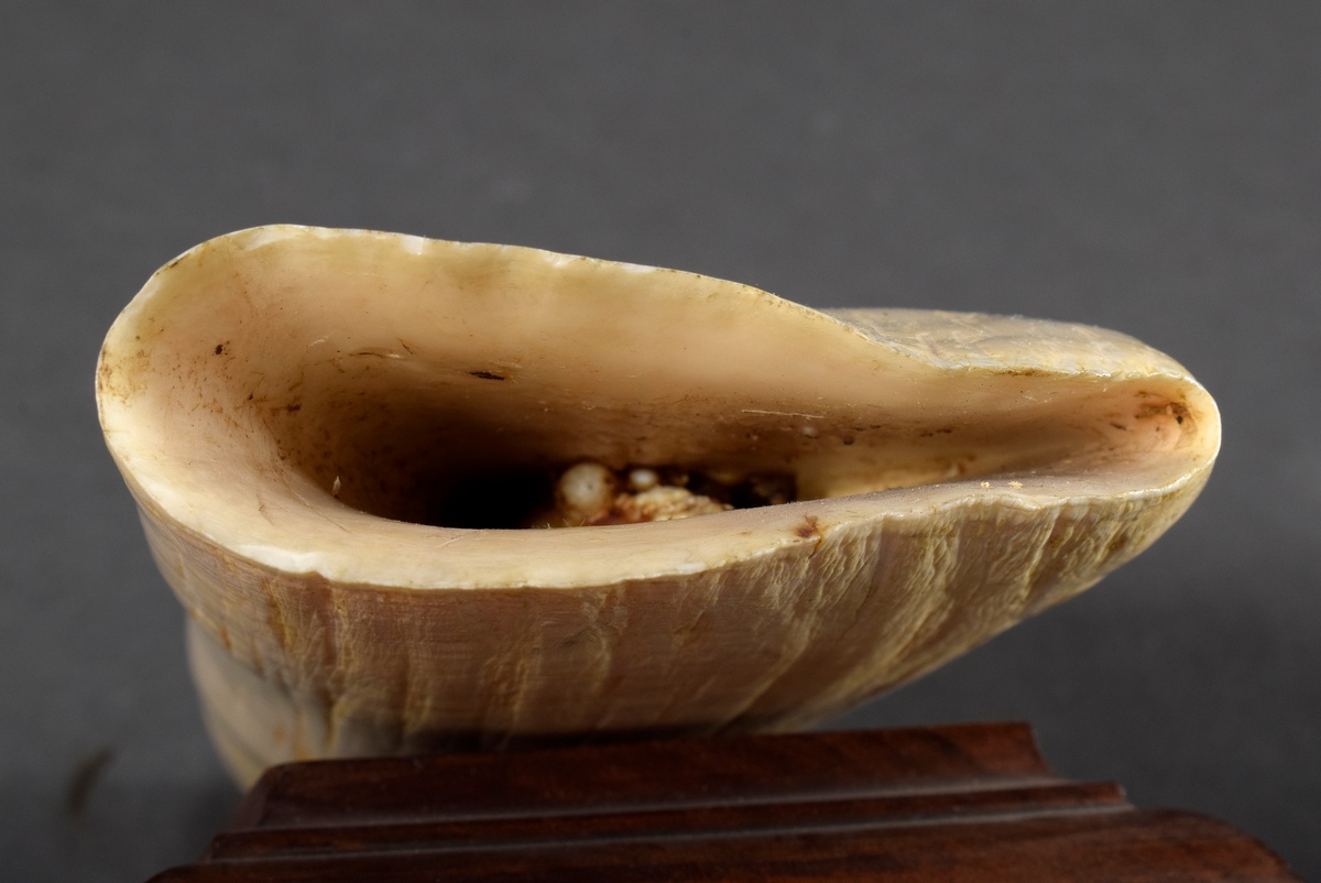 Scrimshaw "2-Mast ship" mounted on wooden base, whale tooth with blackened incised decoration "ship - Image 3 of 4