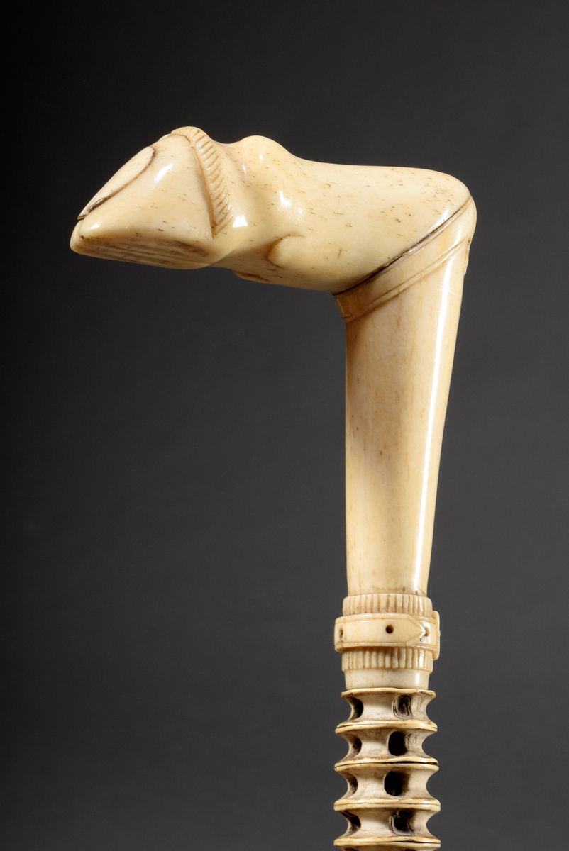 Walking stick with carved bone handle "hoof with bow and belt" and weft made of shark's spine with 