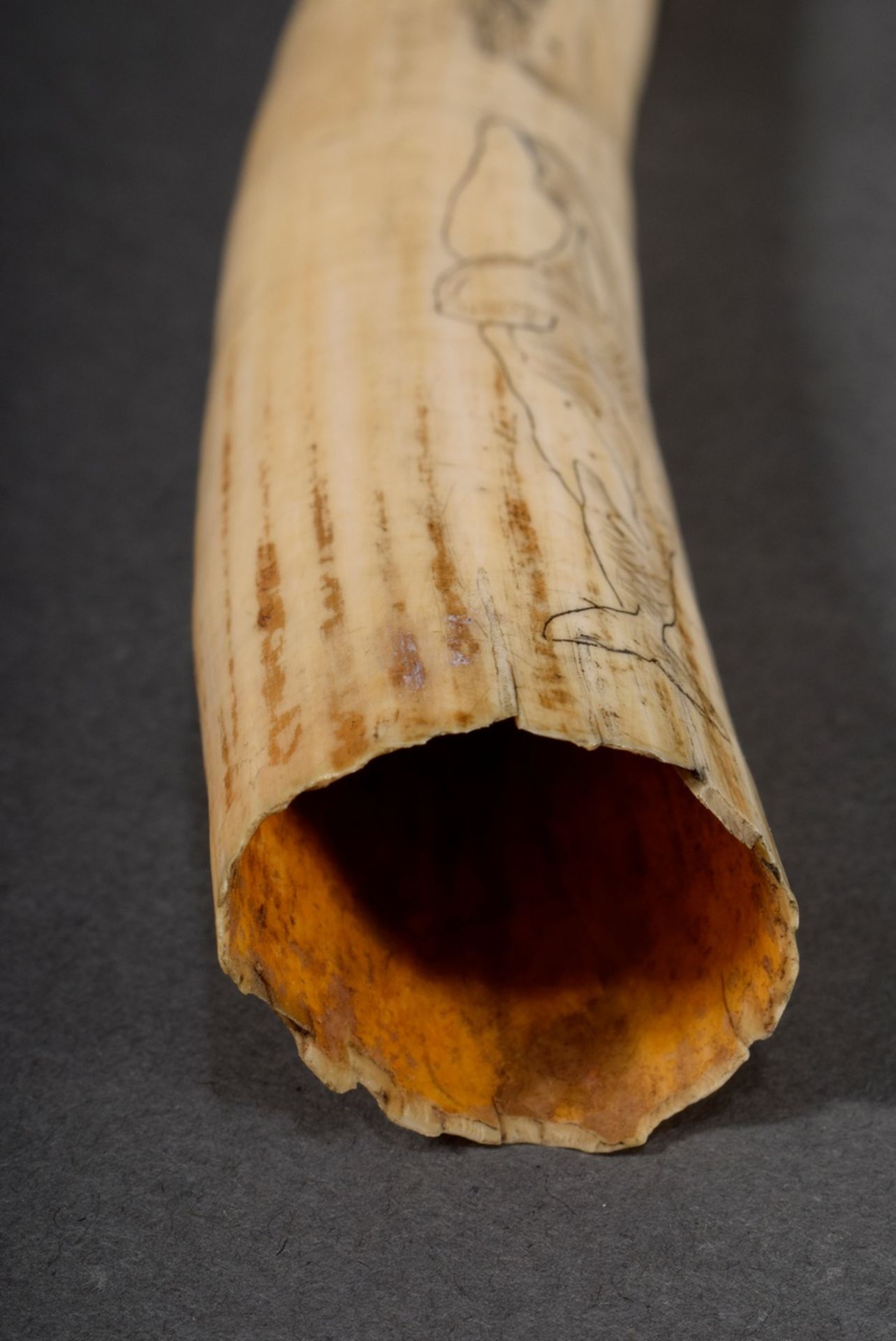 Scrimshaw „Wale“, Walrosszahn mit geschwärztem Ritzdekor „Verschiedene Walarten“, 24,5cm, 223g - Bild 3 aus 7