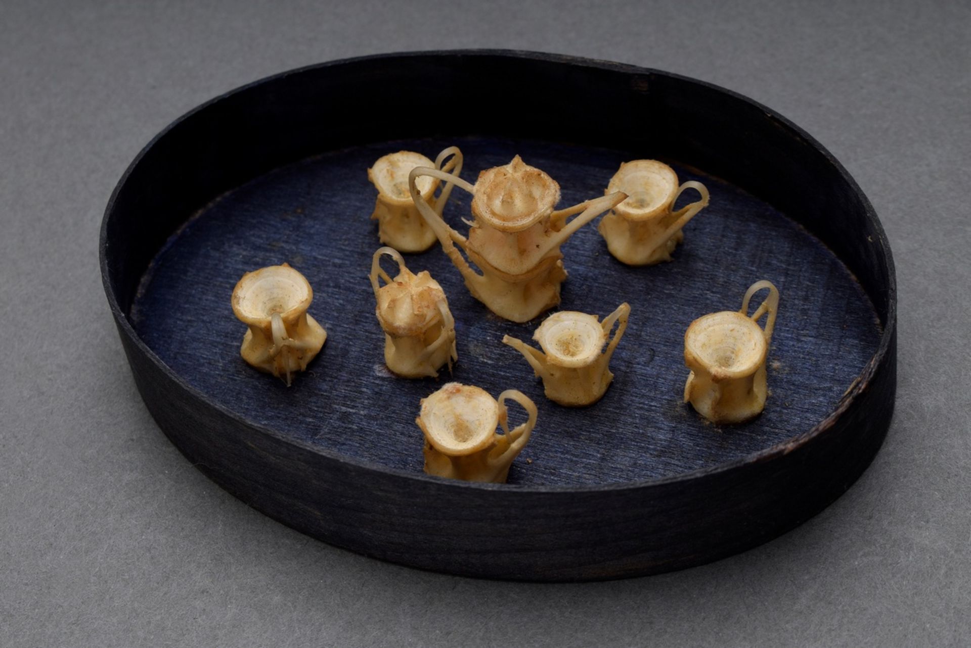 Miniature tea set made of shark vertebrae bones, mounted in chip box, 3x11x7,5cm (with box), slight