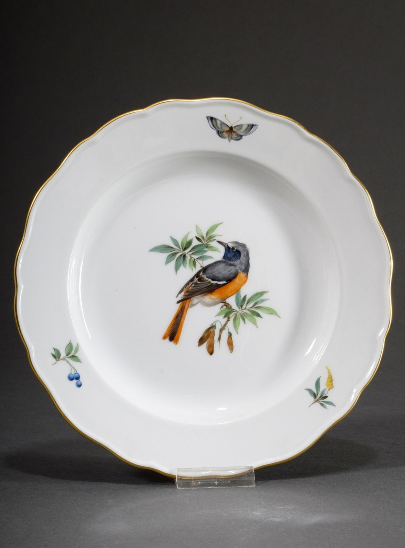 Meissen plate with polychrome "Bird Painting with Insects" (Redstart), new cut-out, gold rim, Ø 20,