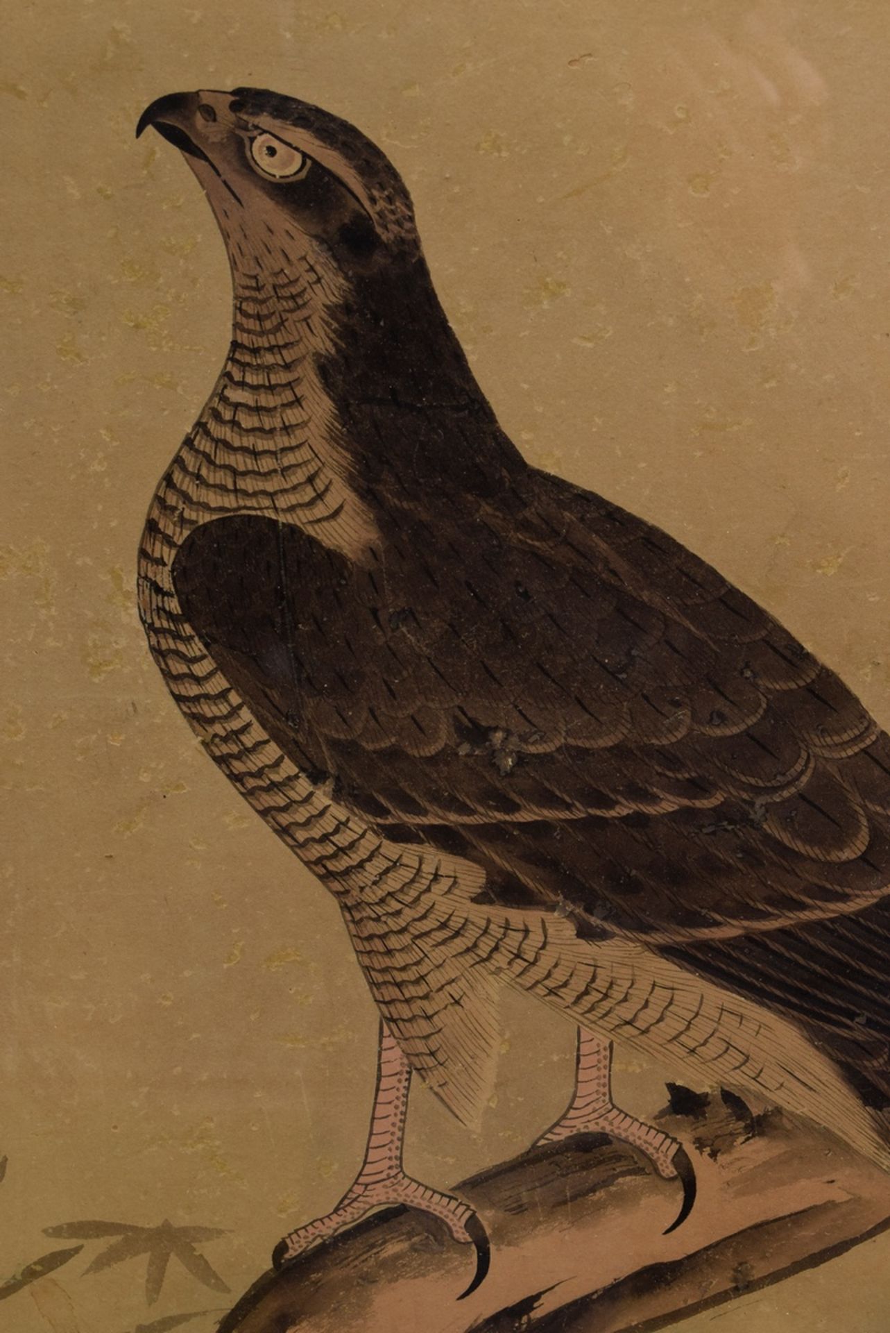 Pair of Japanese scrolls "Birds of Prey", watercolour/paper/silk, Meiji period, c. 1900, 126.5x51cm - Image 2 of 9