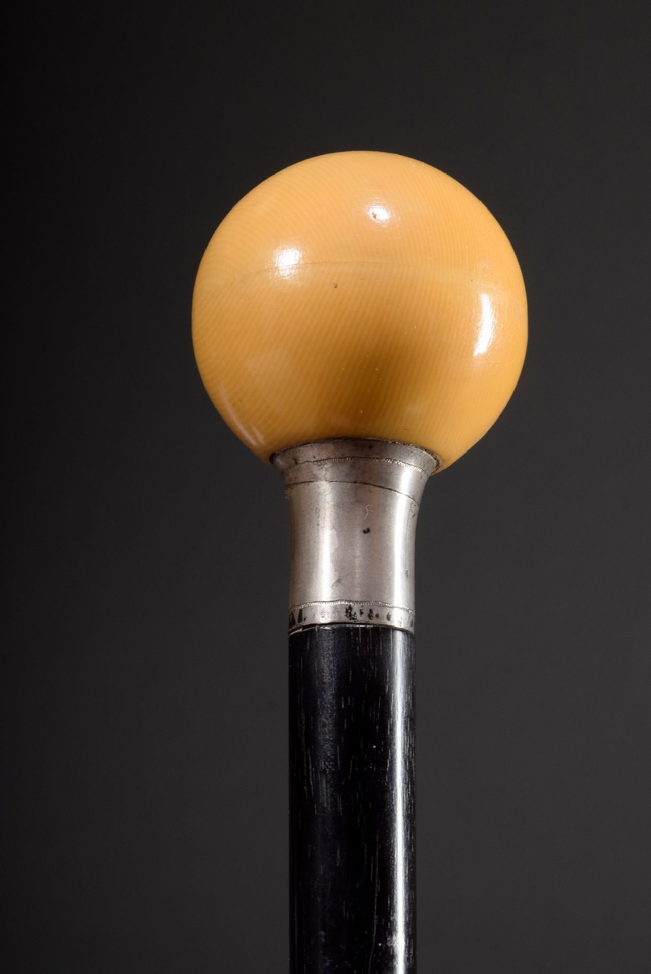 Walking stick with galalith handle in the shape of a ball, from which a small terrier looks out, si - Image 2 of 6