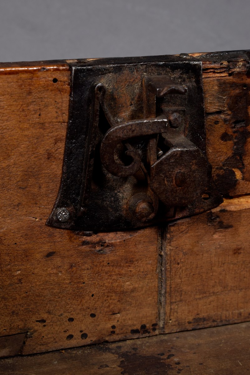 Large minstrel's box with relief carvings "Blossom tendrils and fantastic birds" as well as iron fi - Image 6 of 7