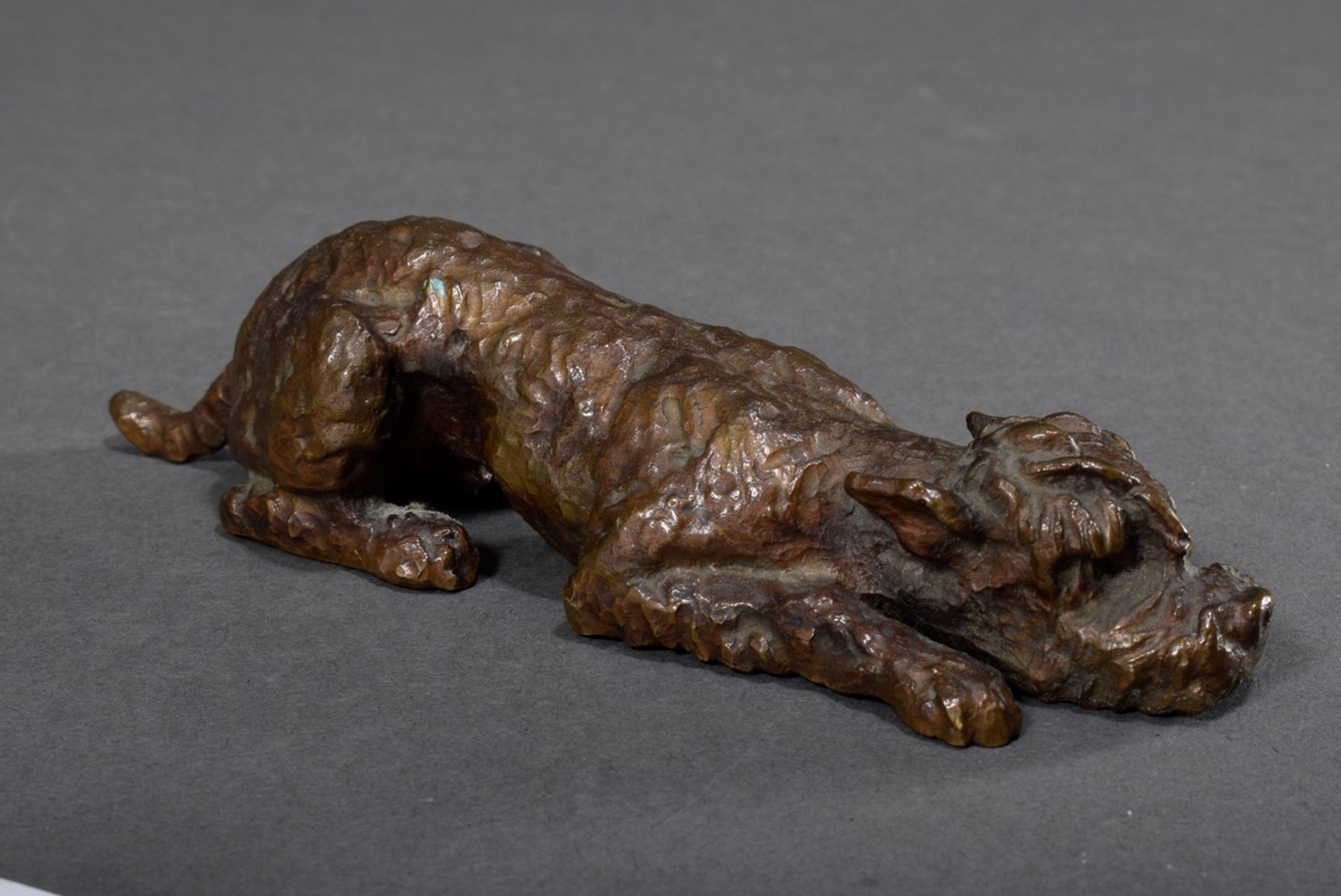 Sintenis, Renée (1888-1965) "Liegender Terrier" 1928, bronze dark patinated, monogr. "RS" on the bo - Image 4 of 6