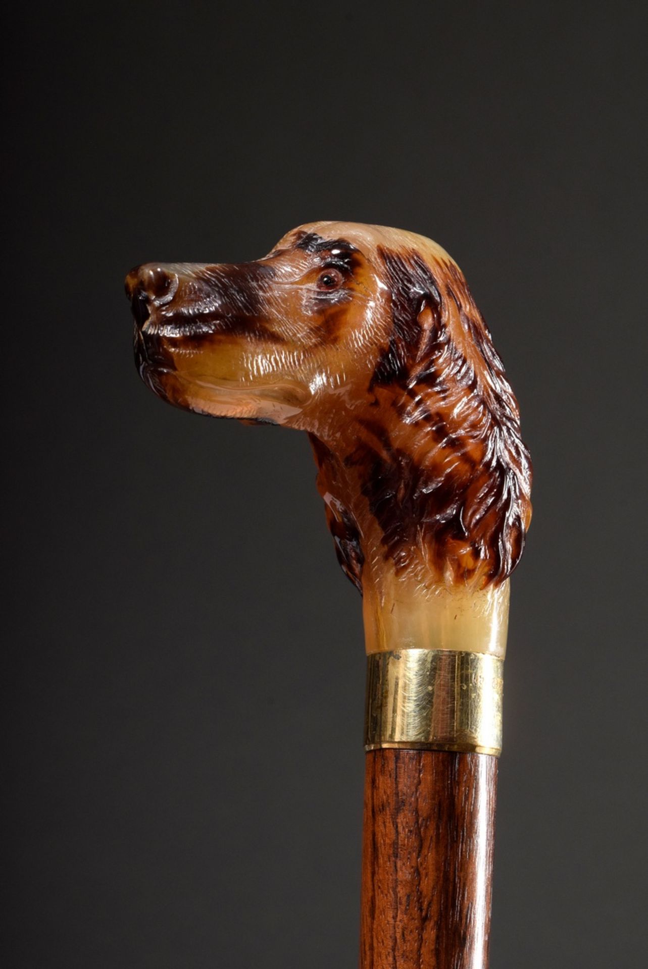Walking stick with carved horn "Dog Head Setter" with glass eyes, YG 750 cuff and hardwood shaft wi