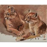 Lorenz, Willy (1901-1981) „Zwei liegende Pumas“ unvollendete Ölstudie/Leinwand, 39,3x49,2cm