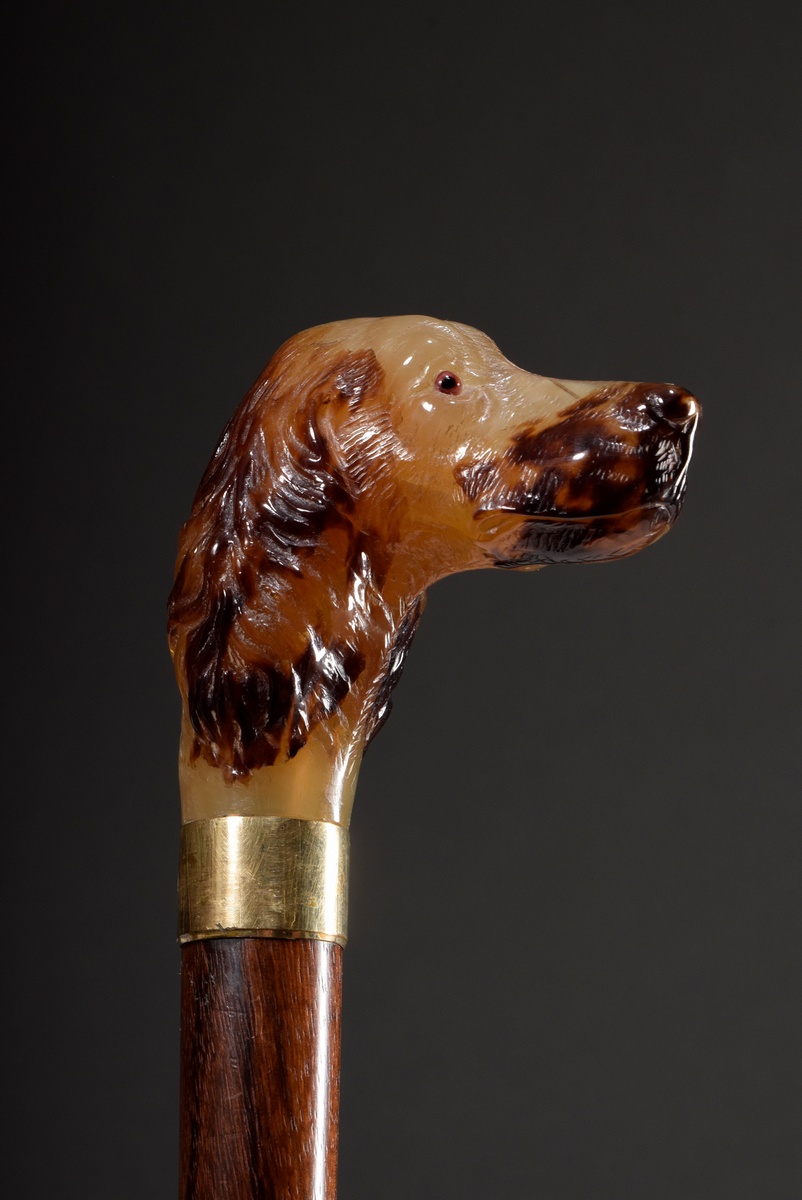 Walking stick with carved horn "Dog Head Setter" with glass eyes, YG 750 cuff and hardwood shaft wi - Image 2 of 6