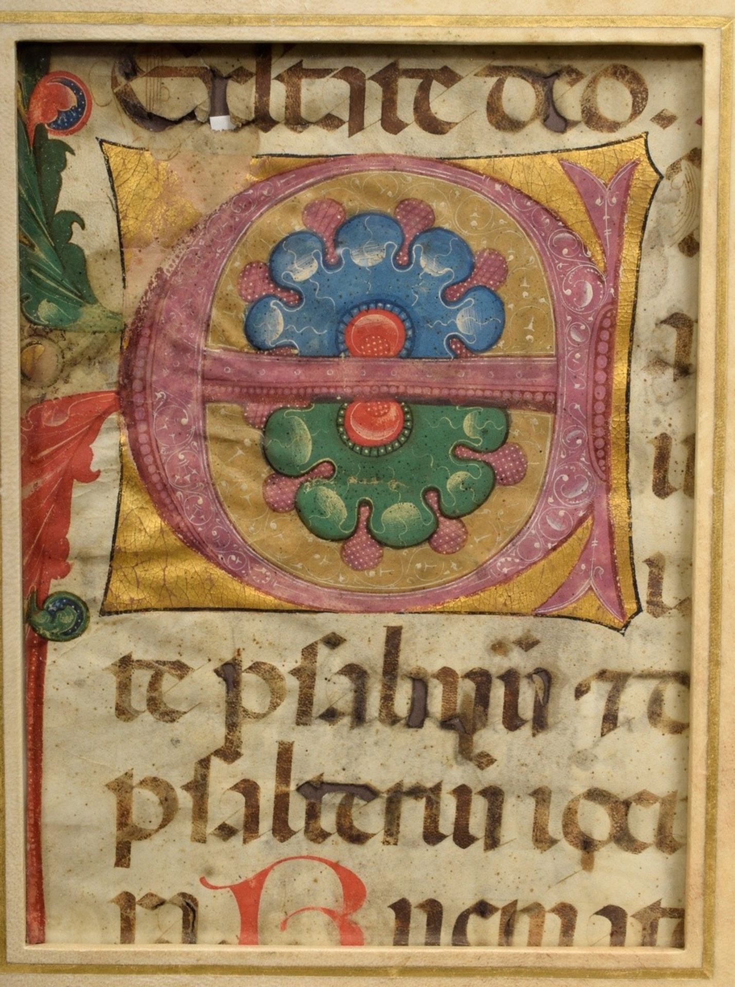 Fragment of an oversized parchment leaf "Majuscule Initial E" (probably for choral music), 15th/16t - Image 2 of 3