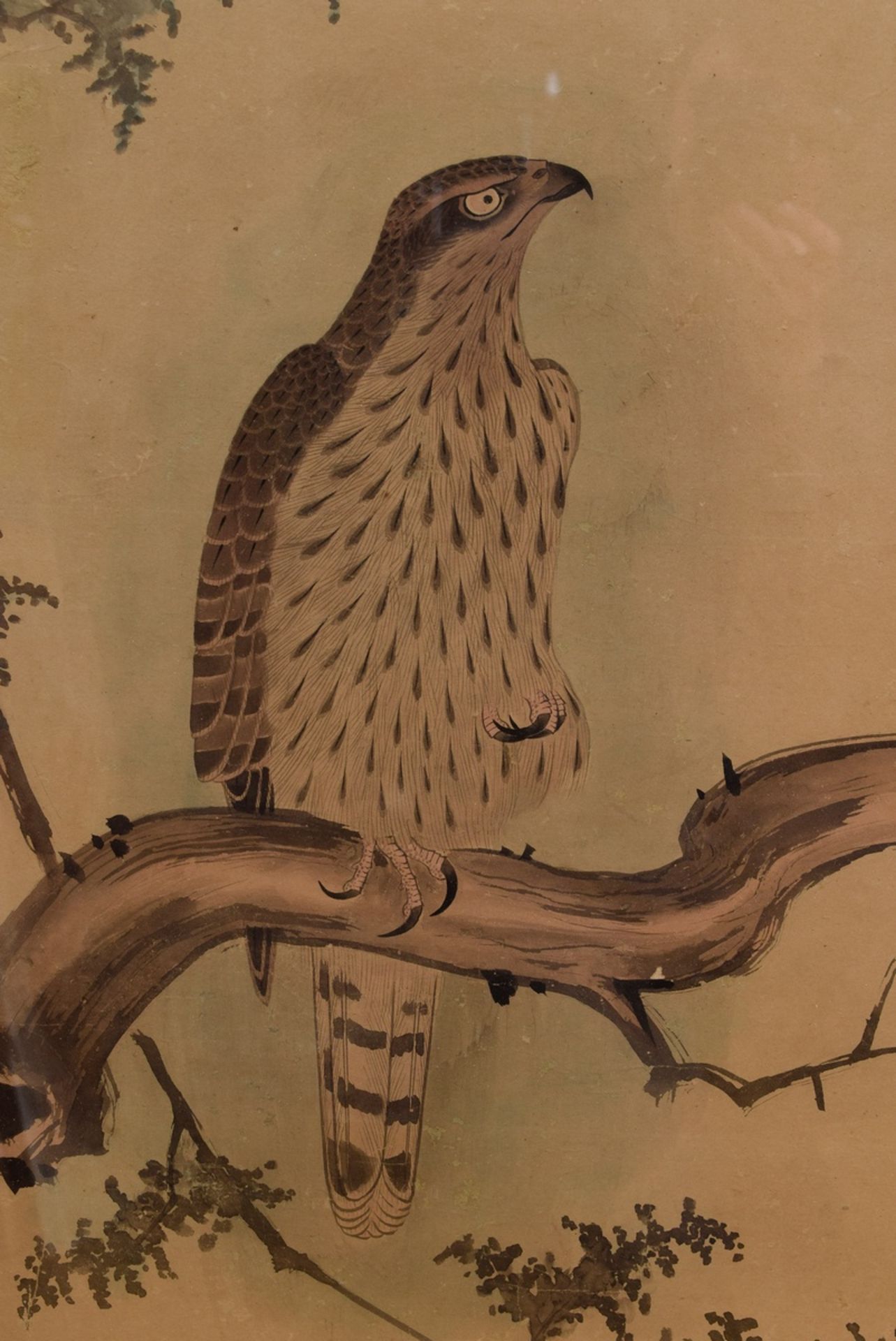 Pair of Japanese scrolls "Birds of Prey", watercolour/paper/silk, Meiji period, c. 1900, 126.5x51cm - Image 5 of 9