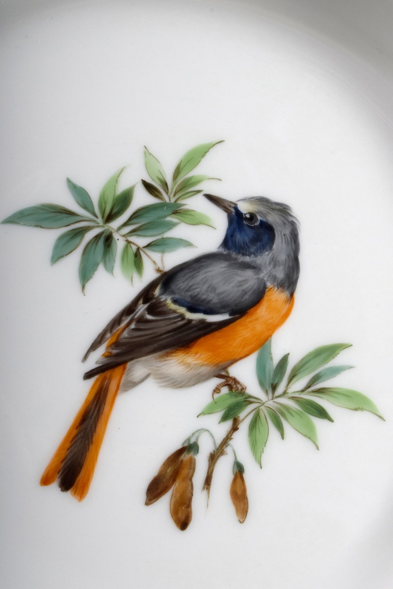 Meissen plate with polychrome "Bird Painting with Insects" (Redstart), new cut-out, gold rim, Ø 20, - Image 2 of 4