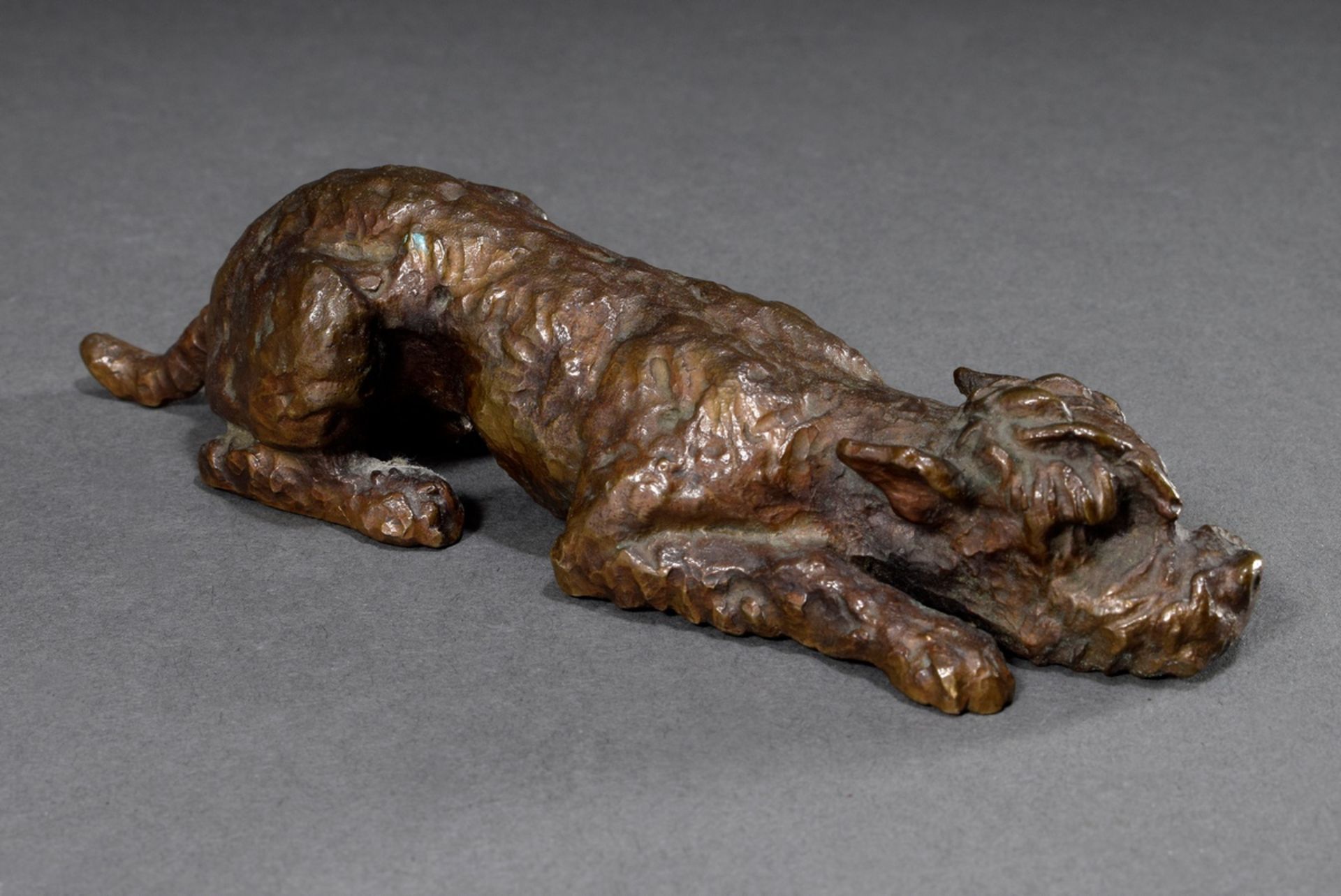 Sintenis, Renée (1888-1965) "Liegender Terrier" 1928, bronze dark patinated, monogr. "RS" on the bo