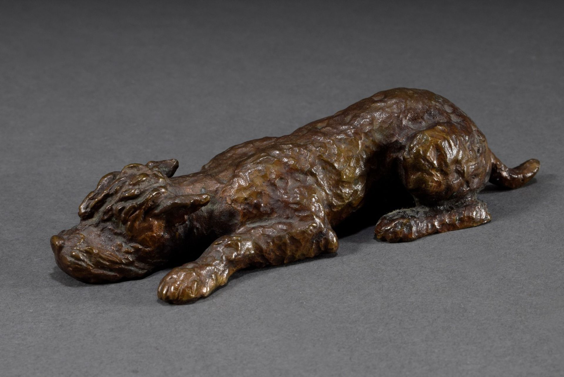 Sintenis, Renée (1888-1965) "Liegender Terrier" 1928, bronze dark patinated, monogr. "RS" on the bo - Image 2 of 6