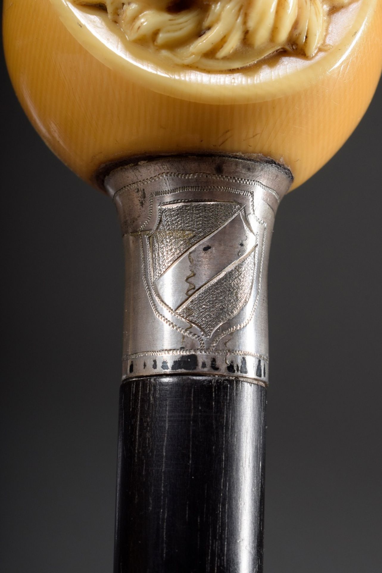 Walking stick with galalith handle in the shape of a ball, from which a small terrier looks out, si - Image 4 of 6