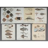 7 Schmuzer, Jacob Xaver (1713-1775) "Fische", color. Stiche, wohl aus "Unterhaltungen aus der Natur