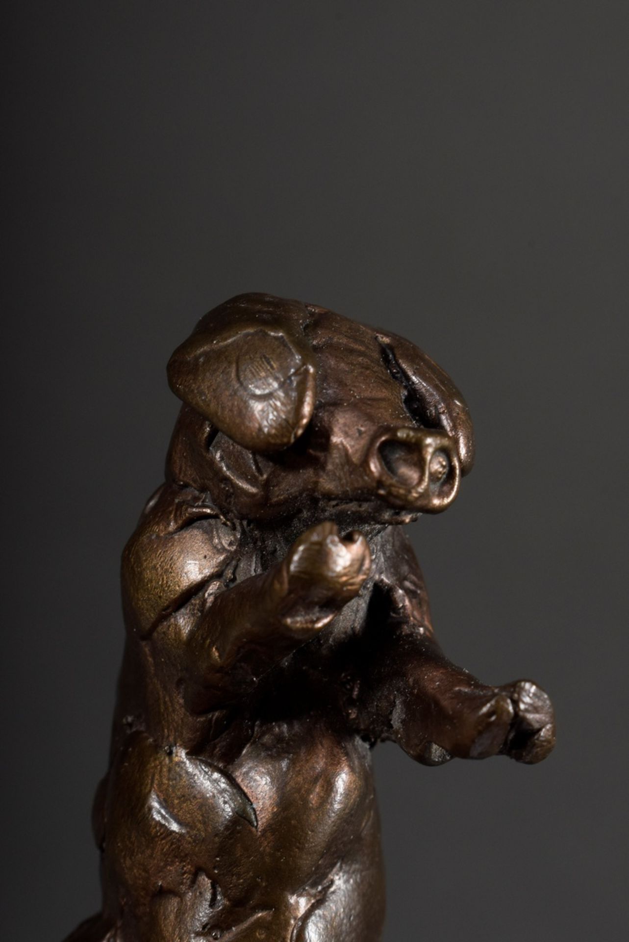 2 Various bronze miniatures "Wallowing pig" and "Crouching mouse", 1x on the bottom inscribed warri - Image 7 of 7
