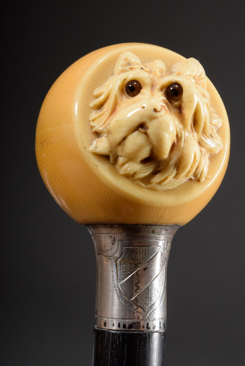 Walking stick with galalith handle in the shape of a ball, from which a small terrier looks out, si - Image 3 of 6