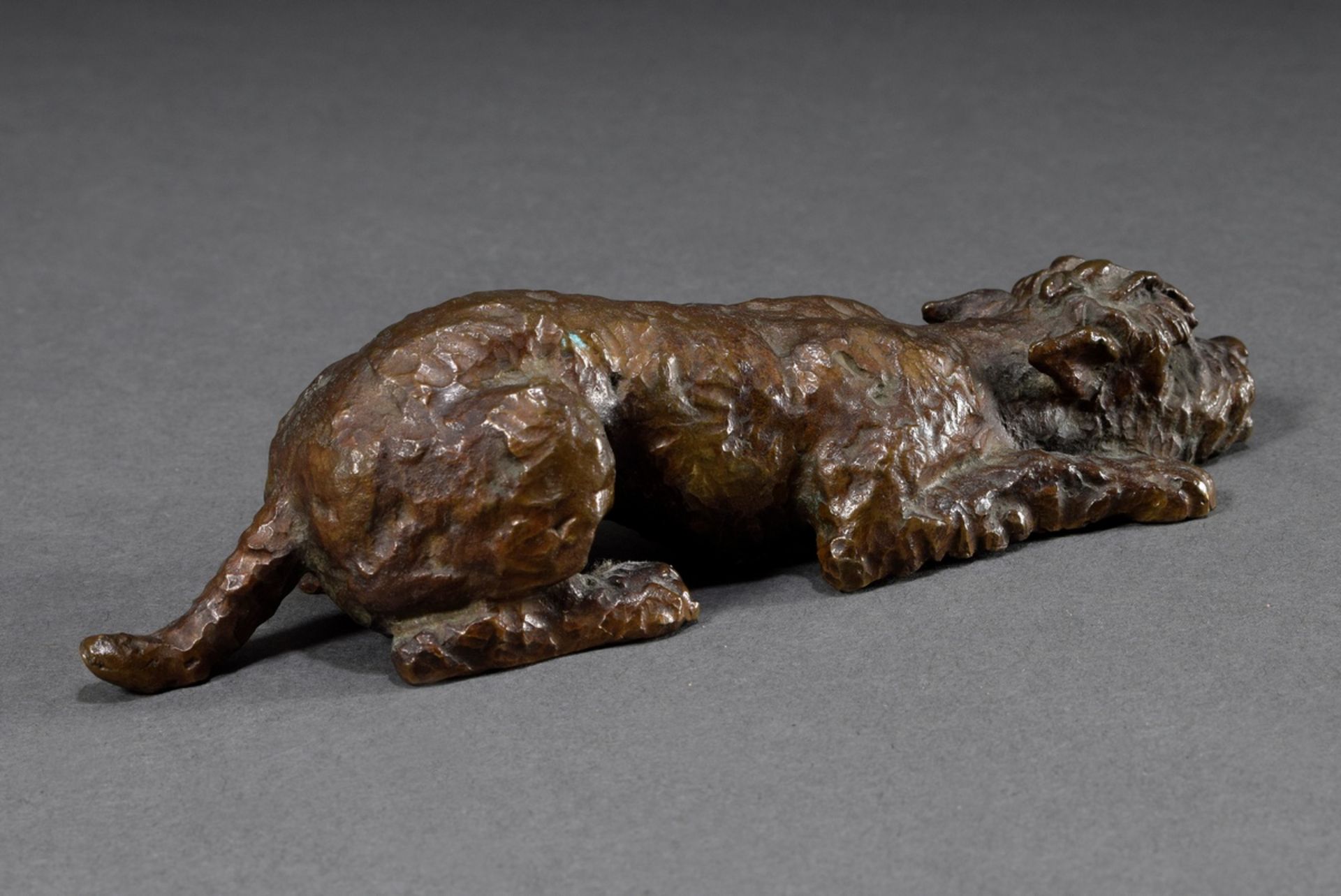 Sintenis, Renée (1888-1965) "Liegender Terrier" 1928, bronze dark patinated, monogr. "RS" on the bo - Image 3 of 6