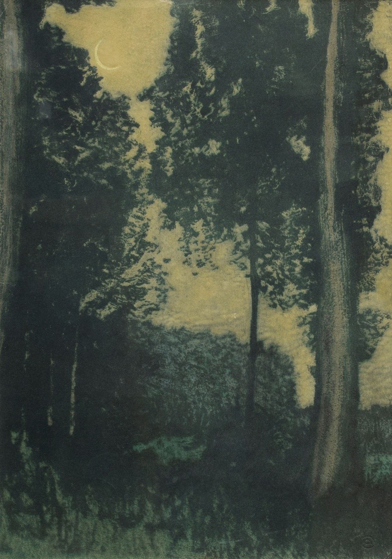 Illies, Arthur (1870-1952) "Crescent Moon in the Forest", etching/etching green/yellowish, narrow g