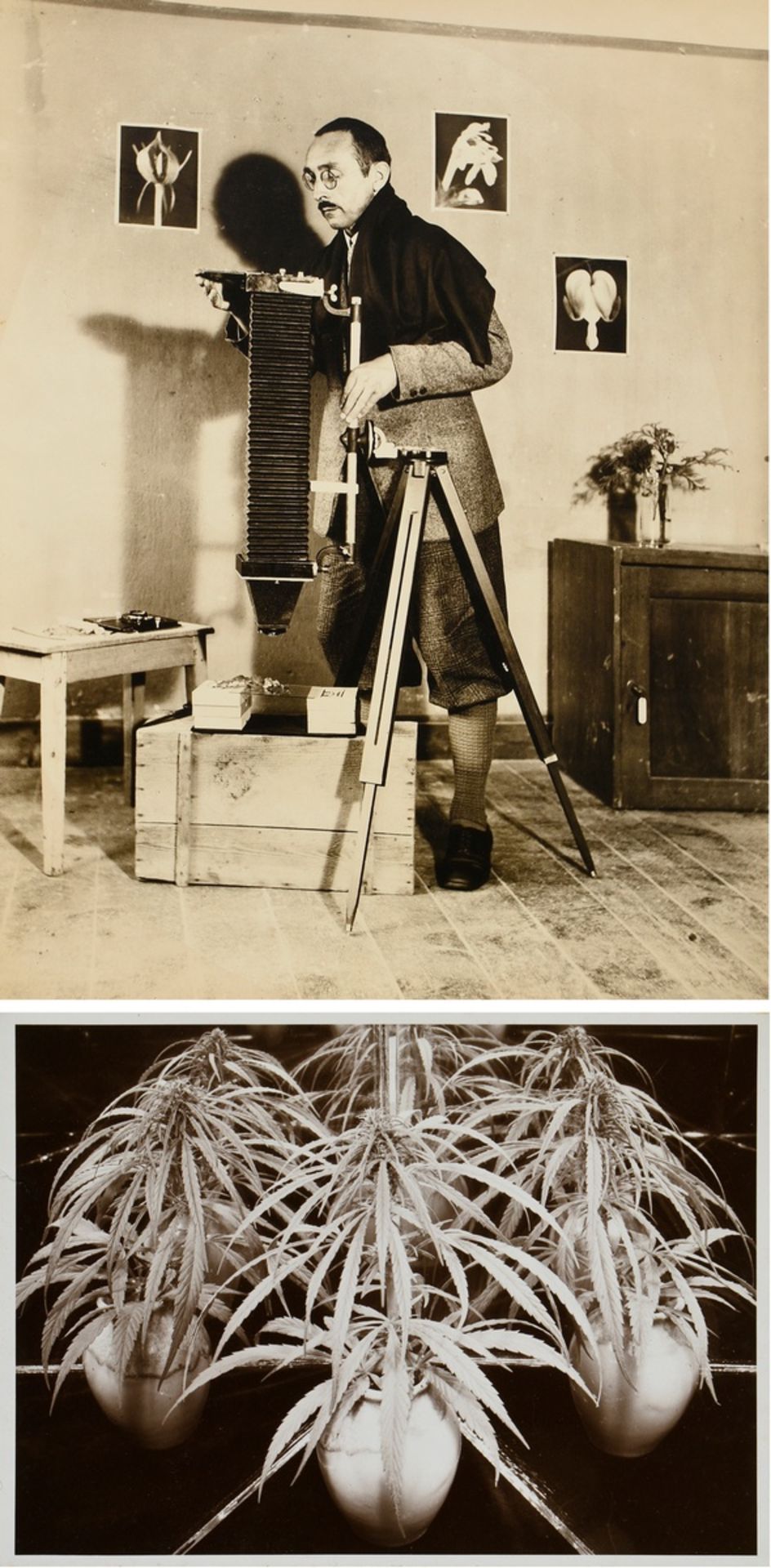 2 Koch, Fred (1904-1947) "Photographer" and "Hemp", photographs, 1x mounted on cardboard, stamped o