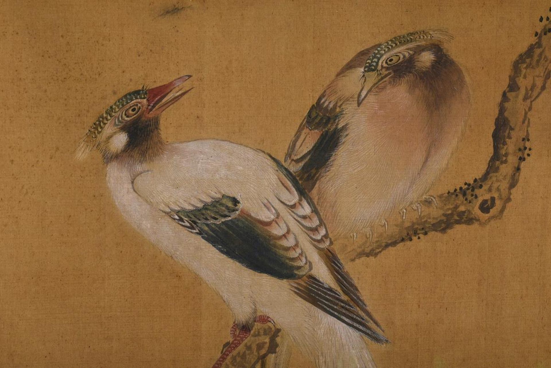 Chinese Huaniaohua painting "Paradise Birds and Flowering Branches", gouache and ink on silk, lands - Image 3 of 4