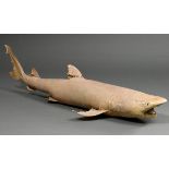 Vollpräparat "Hai", Seemanns Souvenir um 1900, L. 128cm, leichte Defekte, Altersspuren
