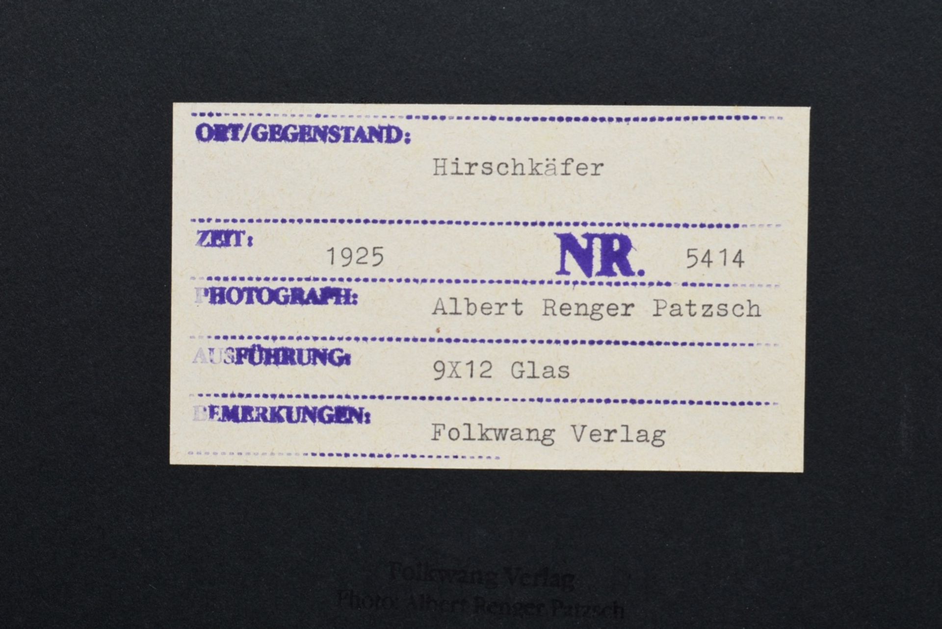 7 Renger-Patzsch, Albert (1897-1966) "Animals and Plants", photographs mounted on cardboard, verso  - Image 6 of 18