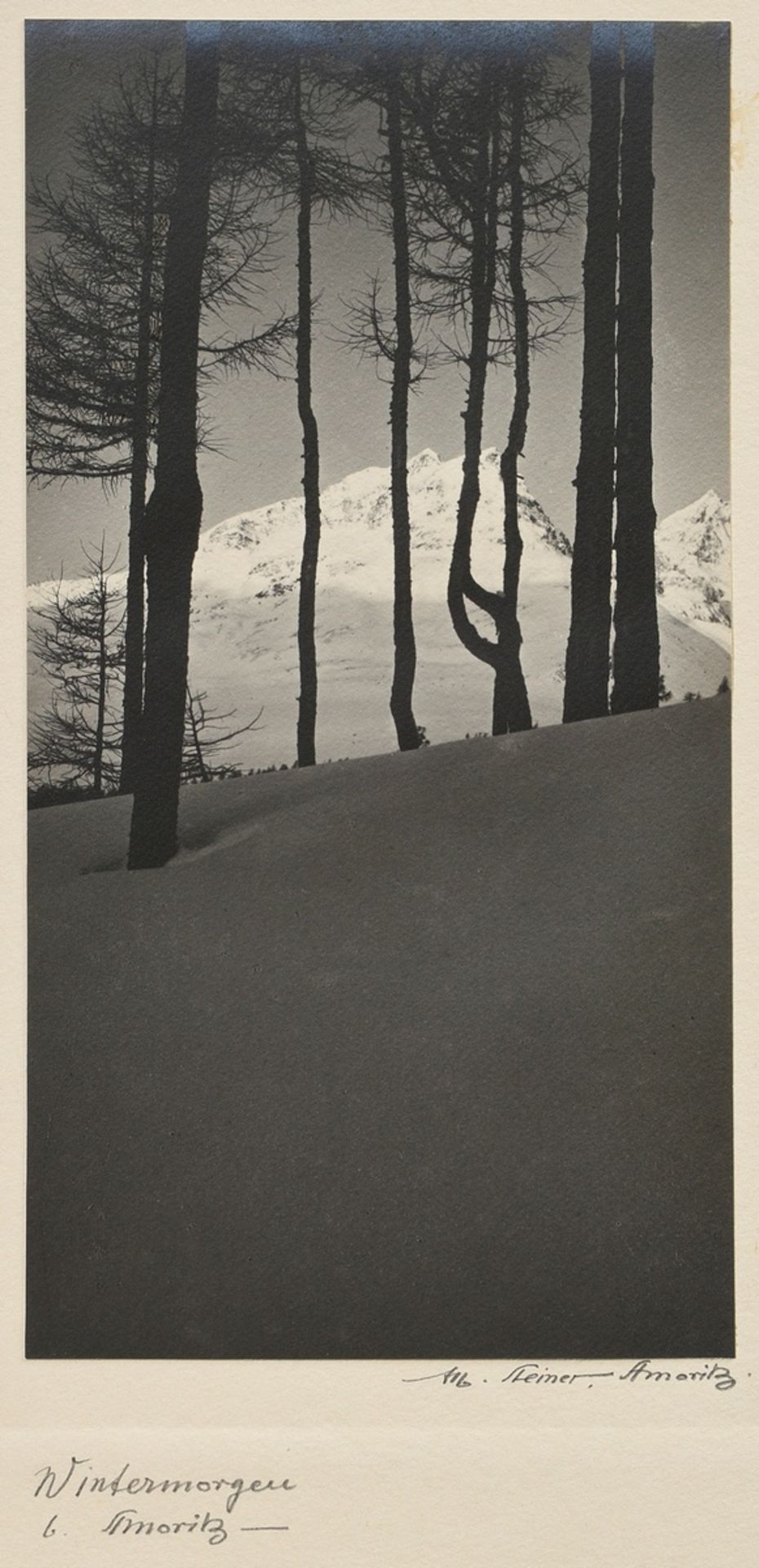 Steiner, Albert (1877-1965) " Winter morning near St. Moritz", photograph, sign. on bottom, stamped