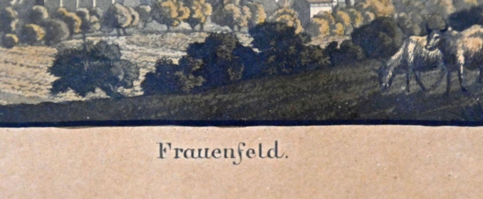 FRAUENFELD/WEINFELDEN (CH) 4 Graphiken - Bild 5 aus 9