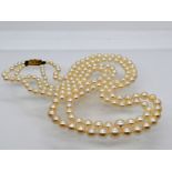 2 rhg. Akoya- Perlenkette mit goldener Schließe, 1. Hälfte 20. Jh.